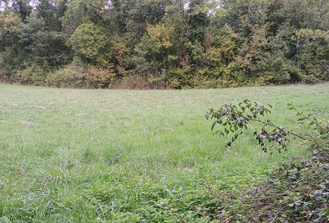 vente Terrain constructible Riberac - Photo 4