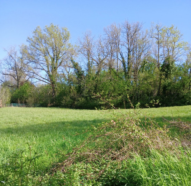 vente Terrain constructible Riberac - Photo 5