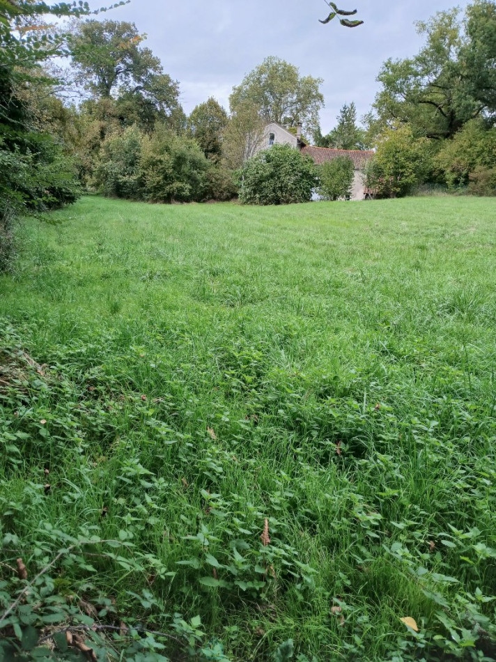 vente Terrain constructible Riberac - Photo 4