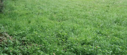 vente Terrain constructible Riberac