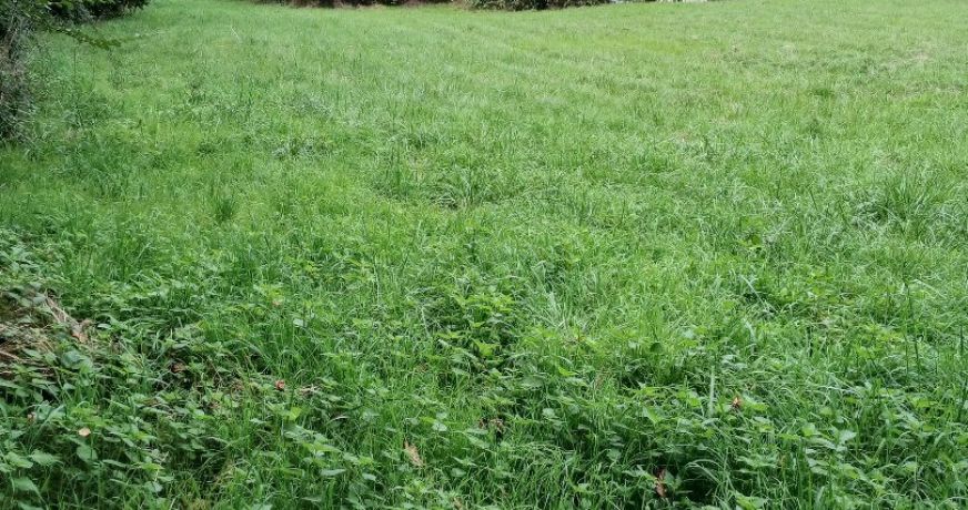 vente Terrain constructible Riberac