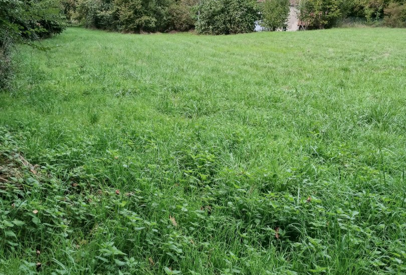 vente Terrain constructible Riberac - Photo 6