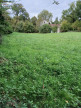 vente Terrain constructible Riberac
