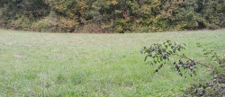 vente Terrain constructible Riberac