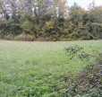 vente Terrain constructible Riberac