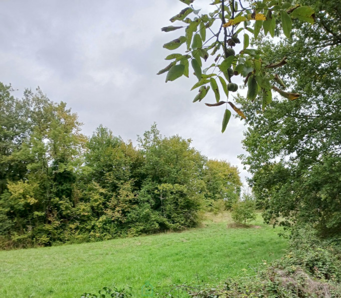 vente Terrain constructible Riberac - Photo 7