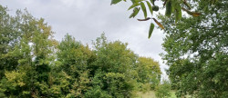 vente Terrain constructible Riberac