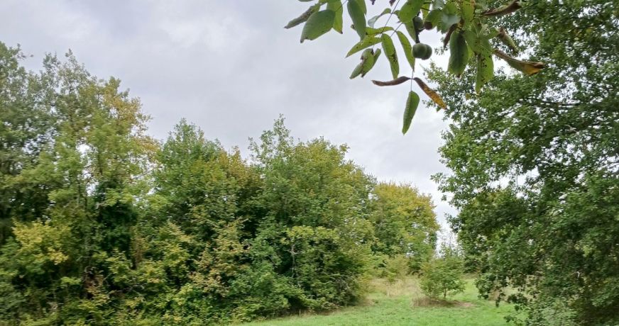vente Terrain constructible Riberac