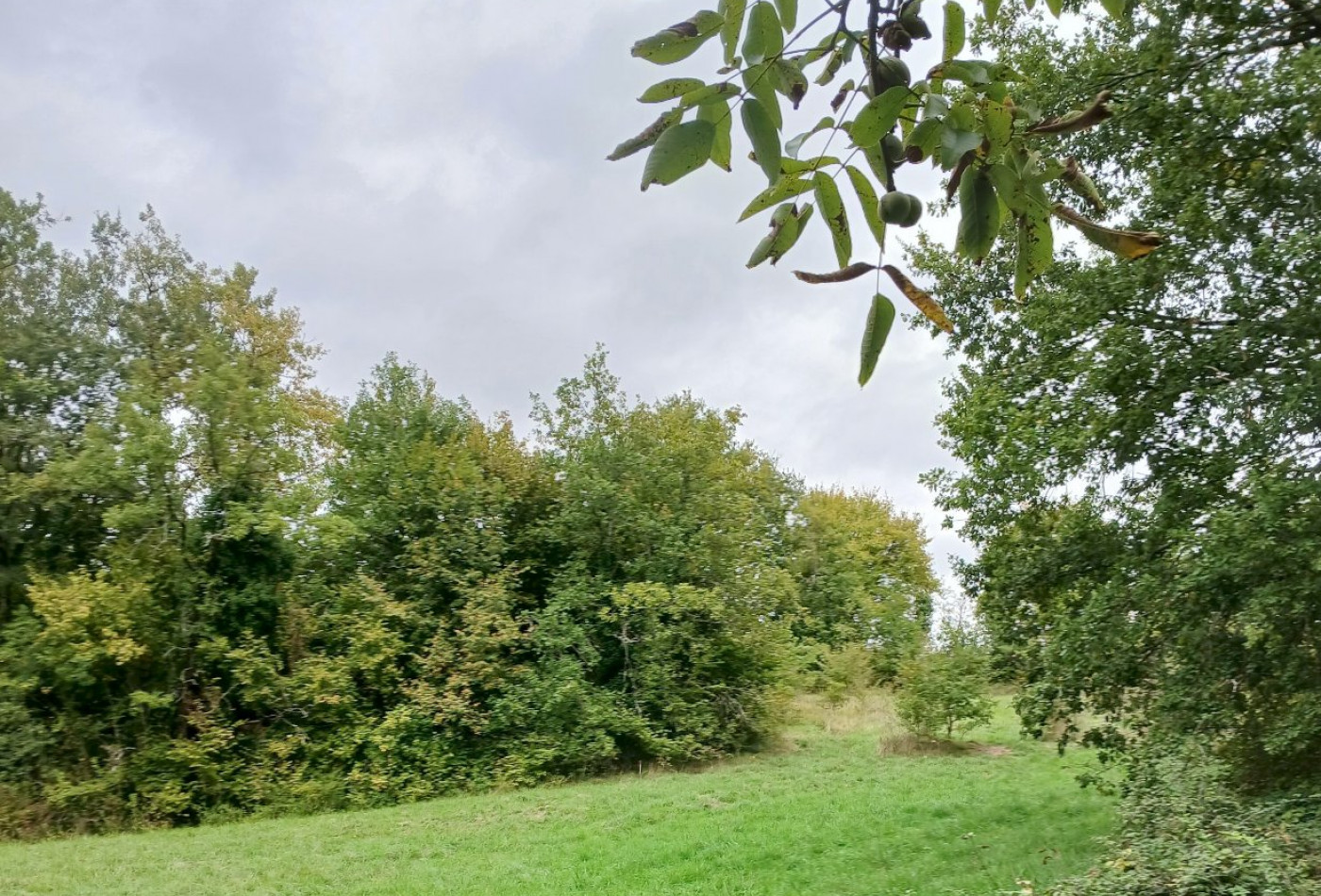 vente Terrain constructible Riberac - Photo 1