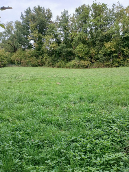 vente Terrain constructible Riberac - Photo 8