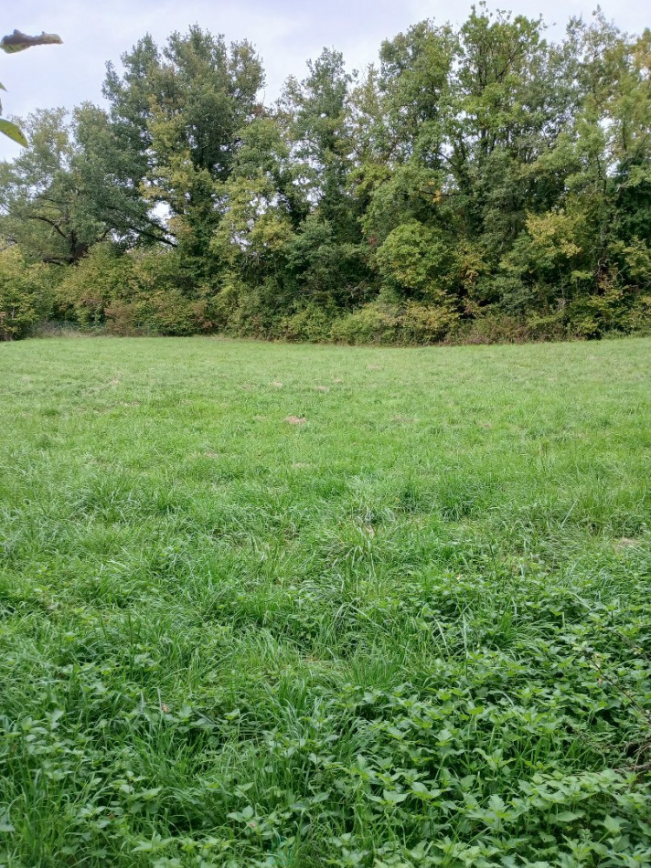 vente Terrain constructible Riberac - Photo 8