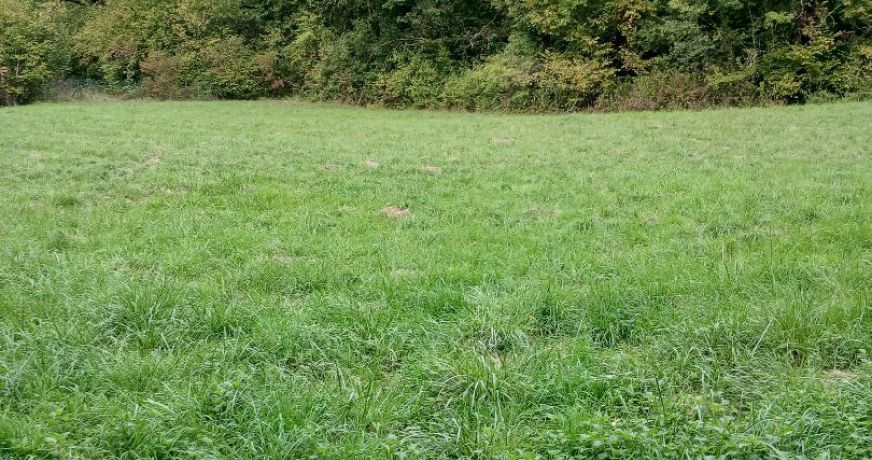 vente Terrain constructible Riberac