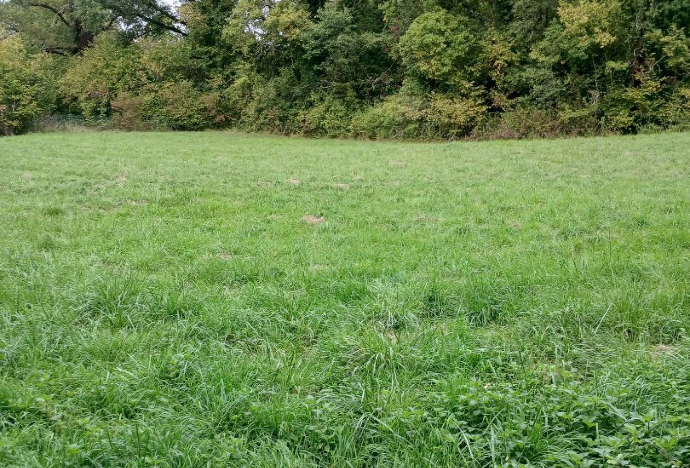 vente Terrain constructible Riberac - Photo 8