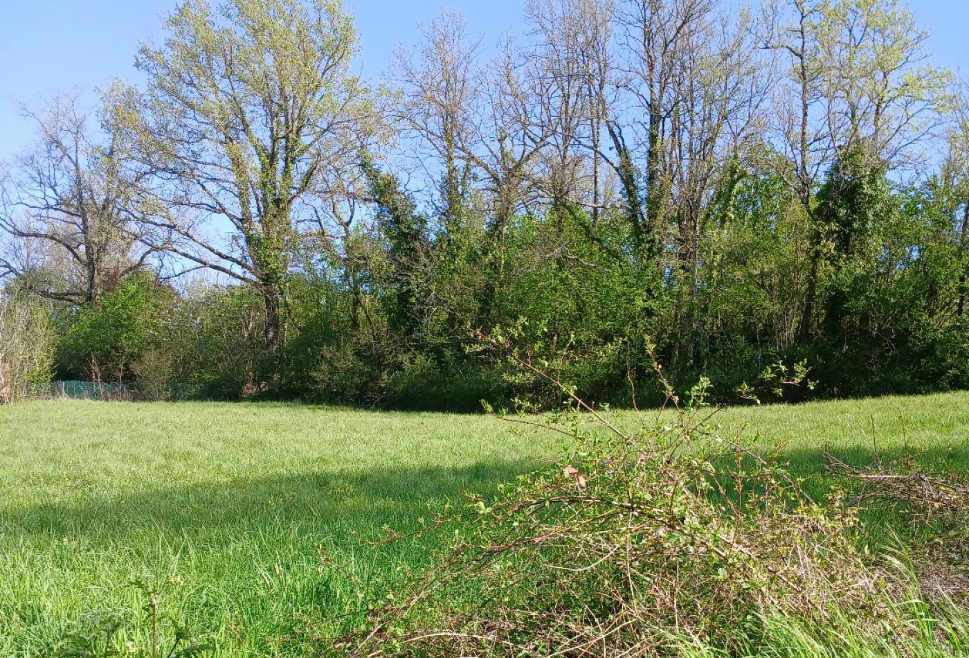 vente Terrain constructible Riberac - Photo 3