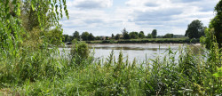 vente Maison Moulin-neuf