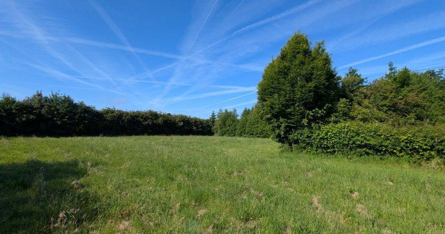 vente Maison de campagne Plouguernevel