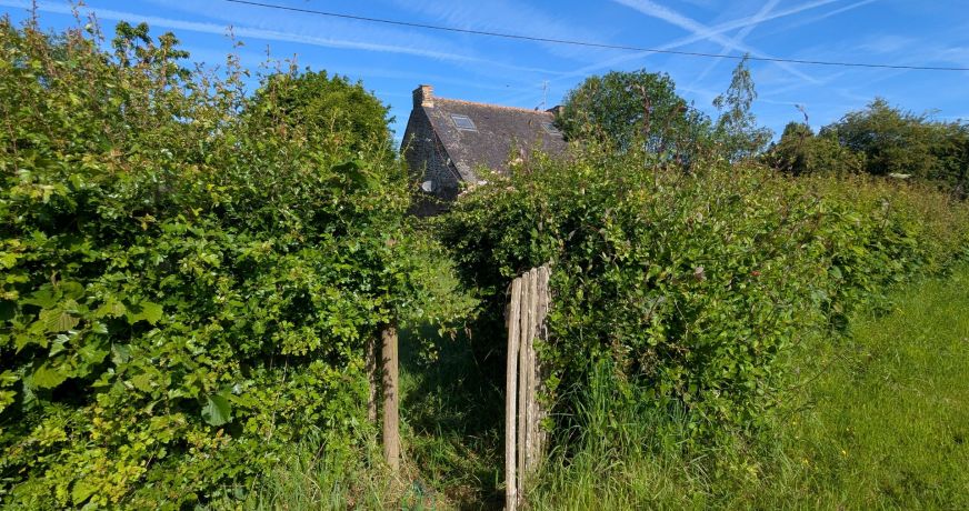 vente Maison de campagne Plouguernevel