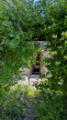 vente Maison de campagne Plouguernevel