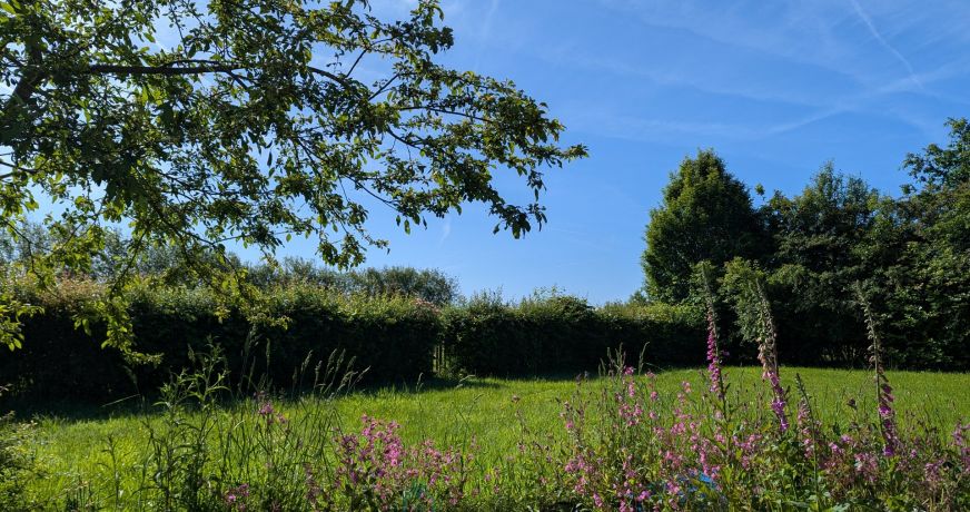vente Maison de campagne Plouguernevel