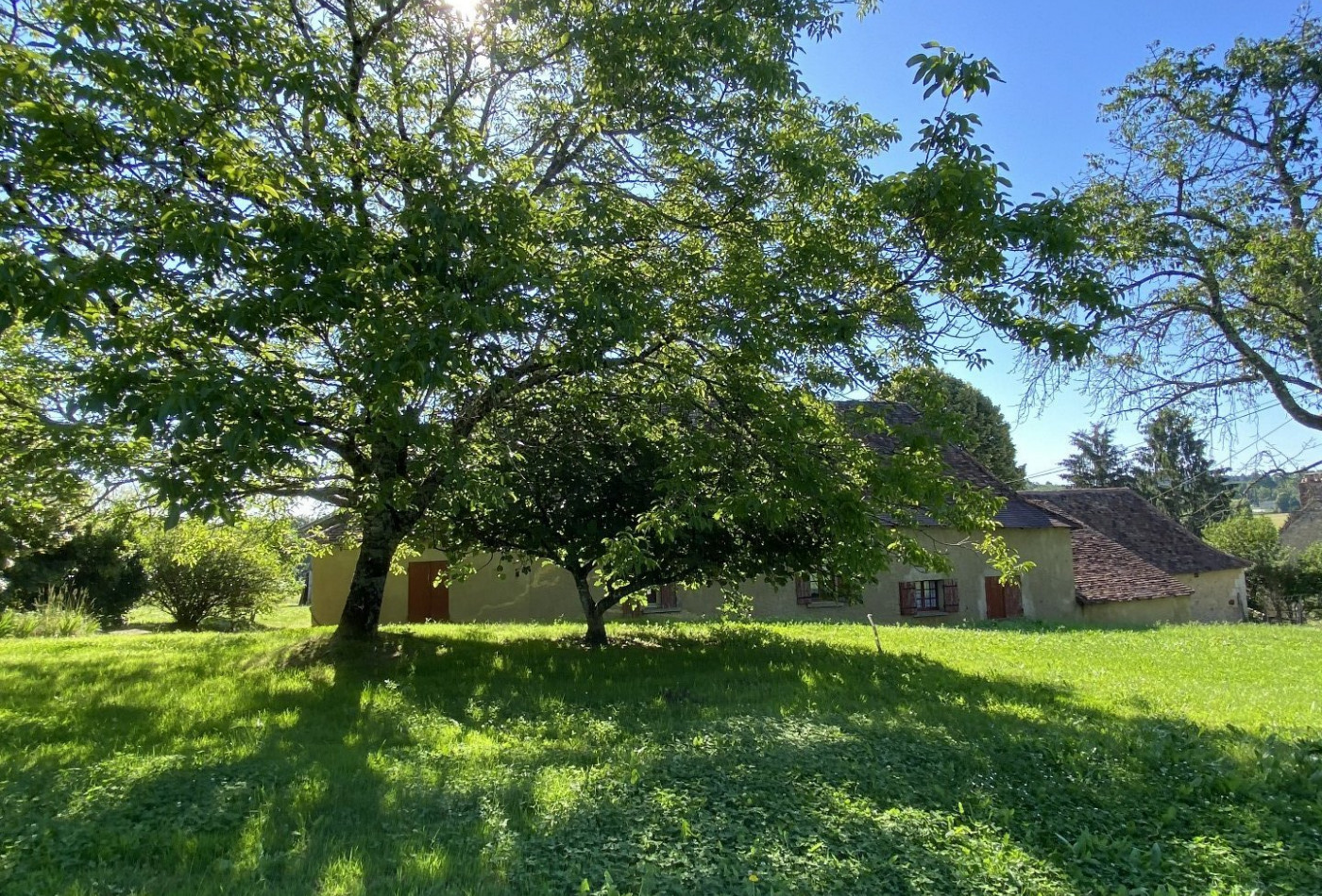 vente Maison Queyssac - Photo 4