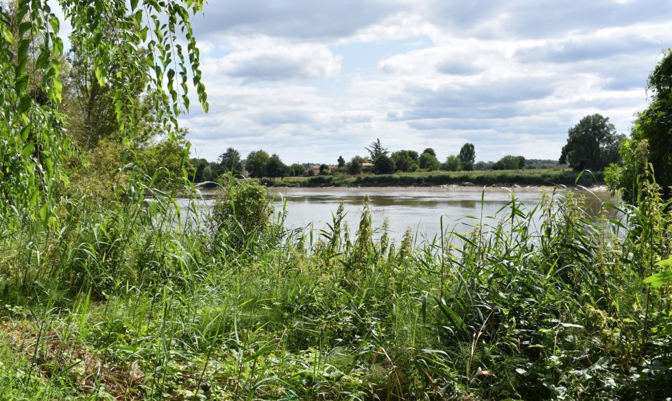 vente Moulin-neuf