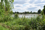 vente Maison Moulin-neuf