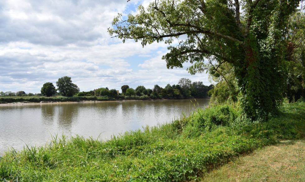 vente Moulin-neuf