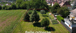 vente Terrain Molsheim