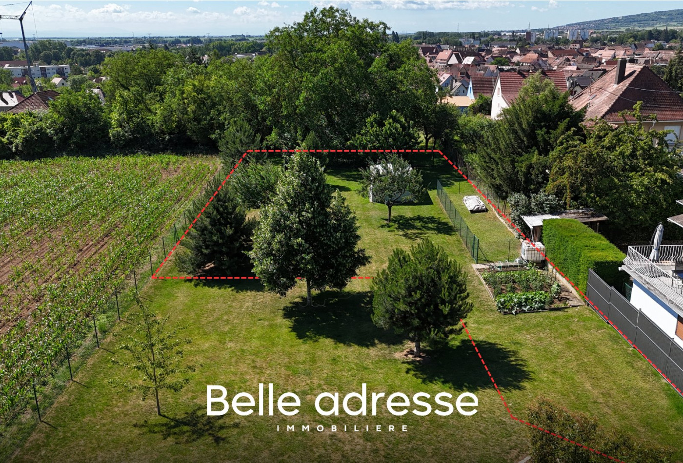vente Terrain Molsheim - Photo 2