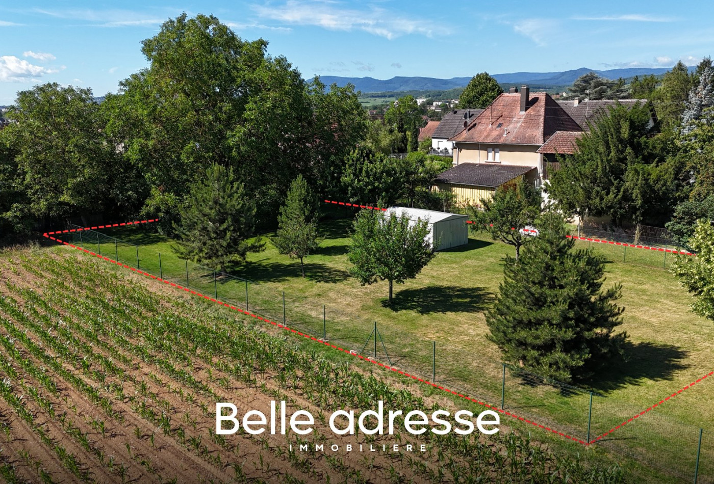 vente Terrain Molsheim - Photo 3