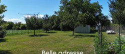 vente Terrain Molsheim