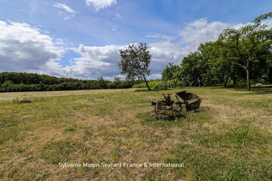 vente Domaine Brouchaud - Photo 9