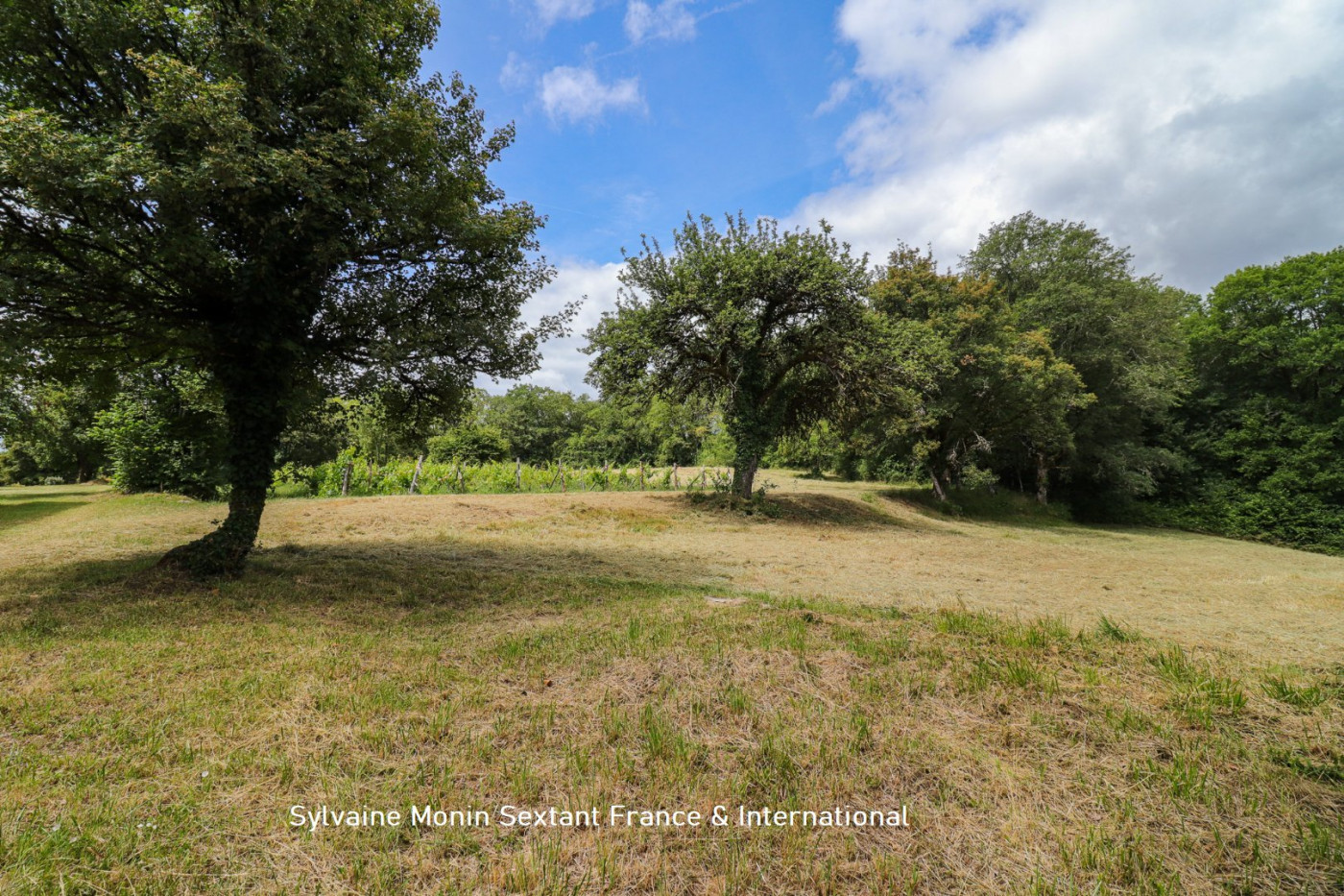 vente Domaine Brouchaud - Photo 10