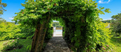 vente Domaine Brouchaud