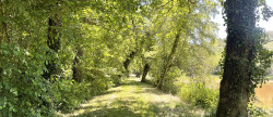 vente Domaine Barbezieux Saint Hilaire