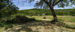 vente Maison de caractère Coulaures