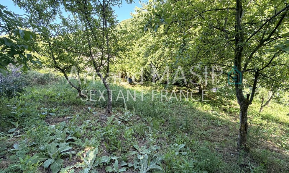 vente Montfort Sur Boulzane