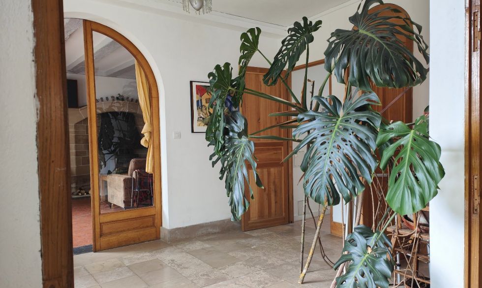 vente Chateau La Valliere