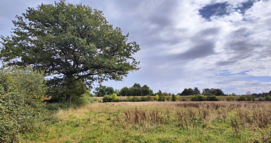 vente Maison de caractère Chateau La Valliere