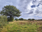 vente Maison de caractère Chateau La Valliere