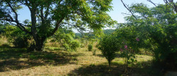 vente Maison et dépendances Saint Saud Lacoussiere