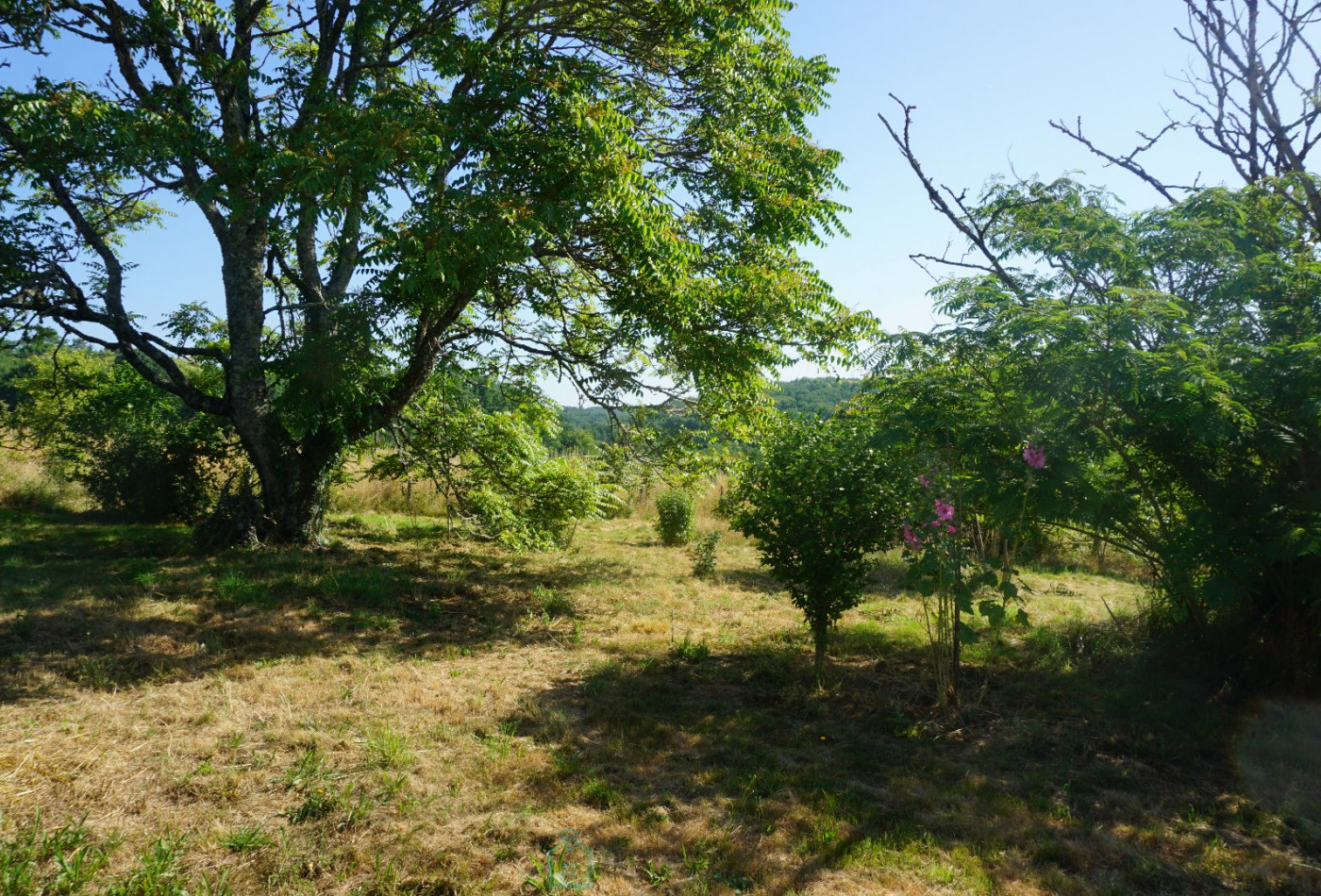 vente Maison et dépendances Saint Saud Lacoussiere - Photo 7
