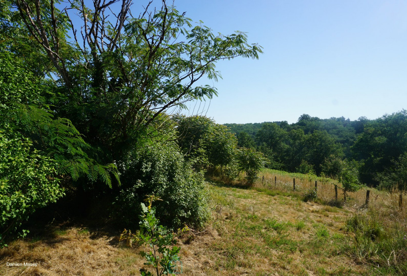 vente Maison et dépendances Saint Saud Lacoussiere - Photo 6
