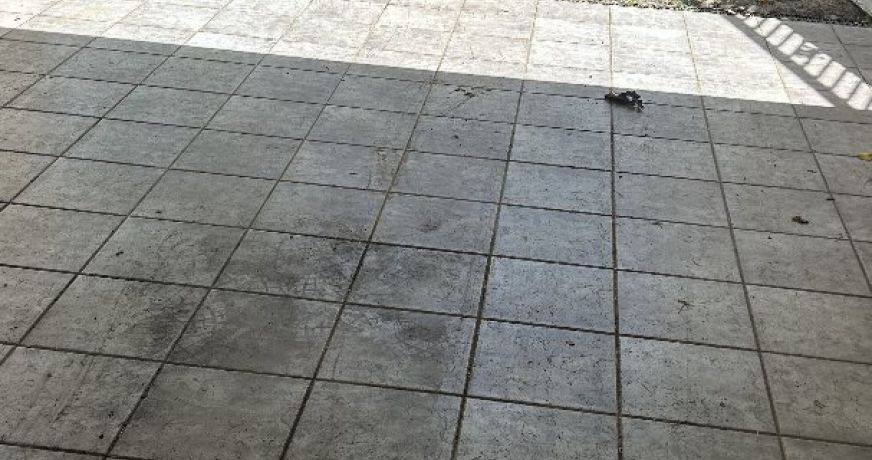 vente Maison individuelle Fort De France
