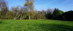 vente Maison de campagne Saint Jory De Chalais