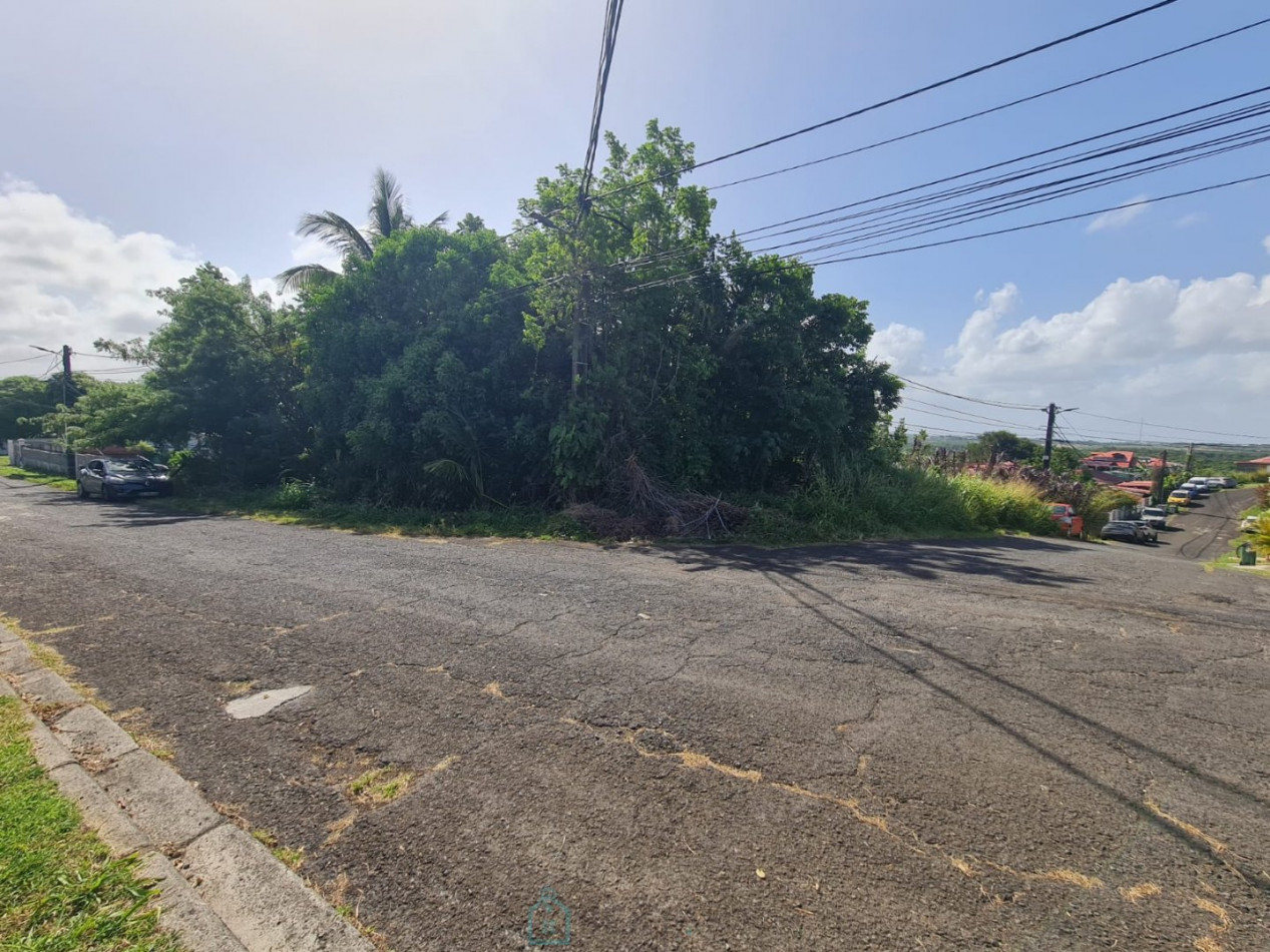 vente Terrain Petit Bourg - Photo 1