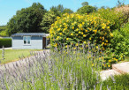 vente Maison Camors