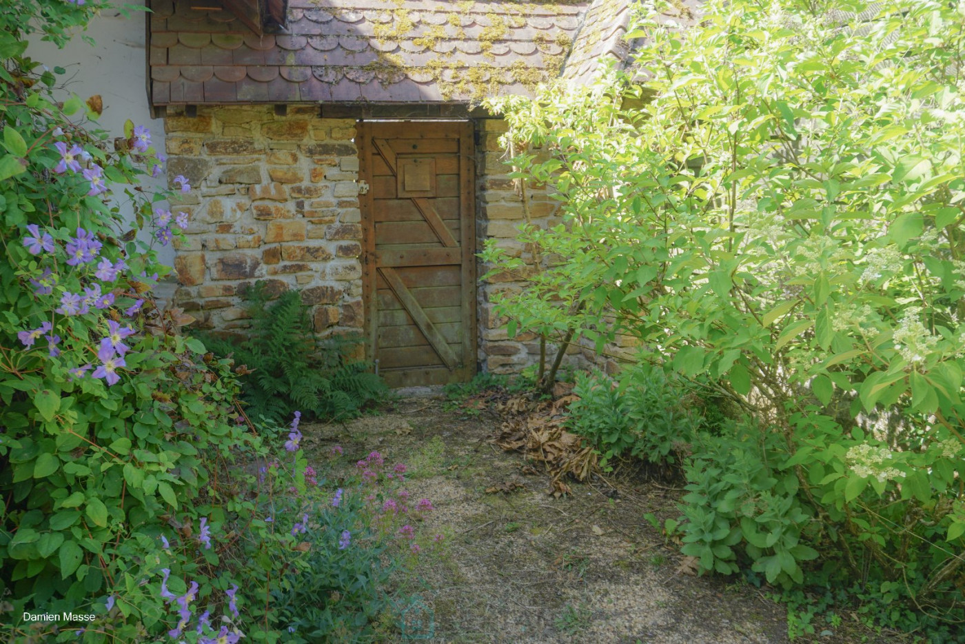 vente Maison de campagne Saint Saud Lacoussiere - Photo 19
