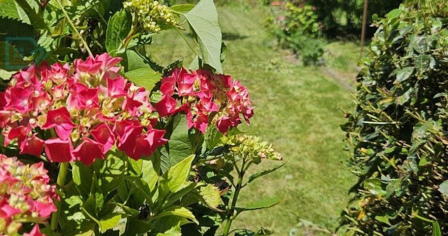vente Maison Corbie