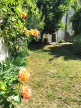 vente Maison Amboise